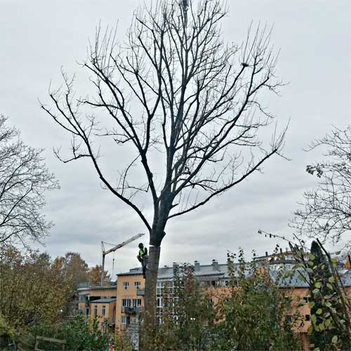 schritt 1