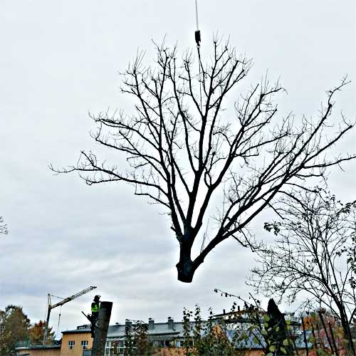 schritt 3